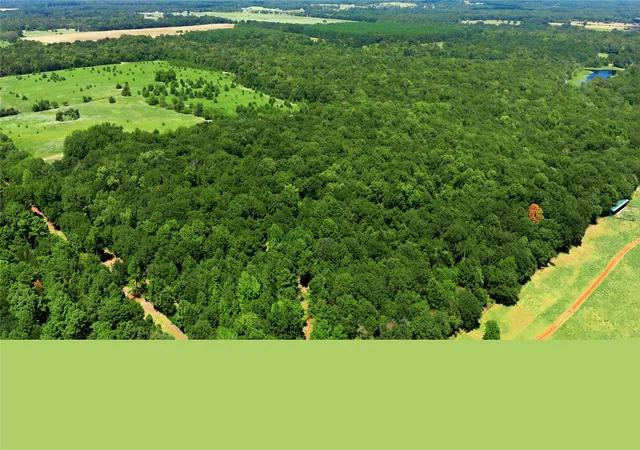 Photo 3 of Land for sale at Tbd Cr 3613, Murchison, TX 75758 | MLS# 21362659 | Listing updated on 2026-10-06