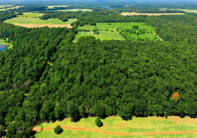 Photo 3 of Land for sale at Tbd Cr 3613, Murchison, TX 75758 | MLS# 21362659 | Listing updated on 2026-10-06