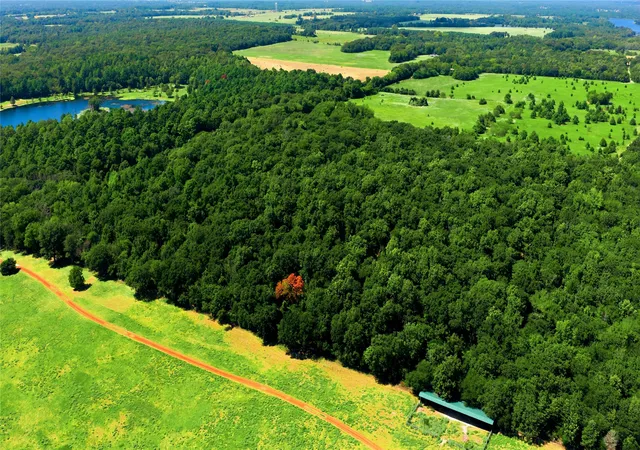 Photo 4 of Land for sale at Tbd Cr 3613, Murchison, TX 75758 | MLS# 21362659 | Listing updated on 2026-10-06