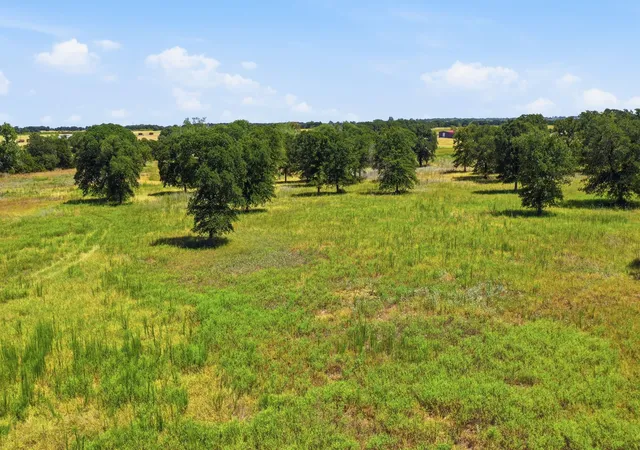 Photo 3 of Land for sale at Tbd Cr 475 #Tract 2, De Leon, TX 76444 | MLS# 21364982 | Listing updated on 2026-09-18