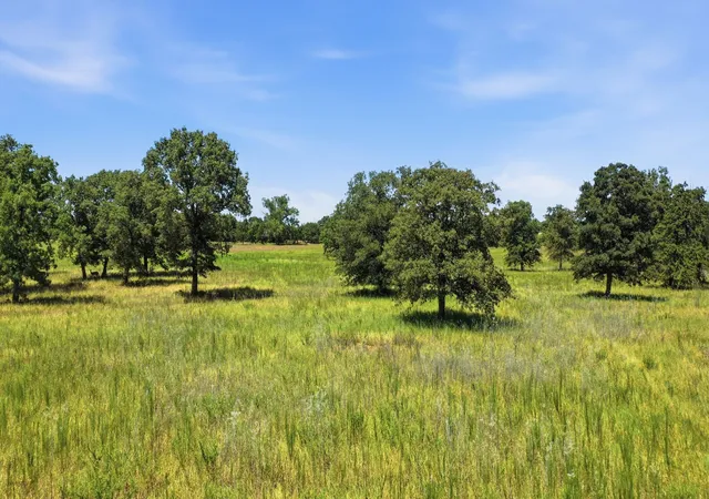 Photo 4 of Land for sale at Tbd Cr 475 #Tract 2, De Leon, TX 76444 | MLS# 21364982 | Listing updated on 2026-09-18