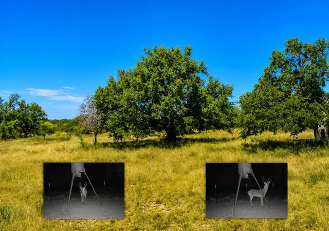 Photo 1 of Land for sale at 129 Big Buck Run Rd, No City, TX 76841 | MLS# 21366552 | Listing updated on 2026-08-22