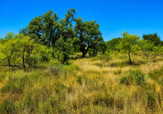 Photo 4 of House for sale at 129 Big Buck Run Rd, No City, TX 76841 | MLS# 21366552 | Listing updated on 2026-08-22
