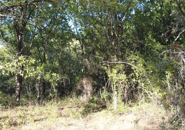 Photo 2 of Land for sale at 000 Eureka School Rd, Nocona, TX 76255 | MLS# 21341545 | Listing updated on 2026-08-22
