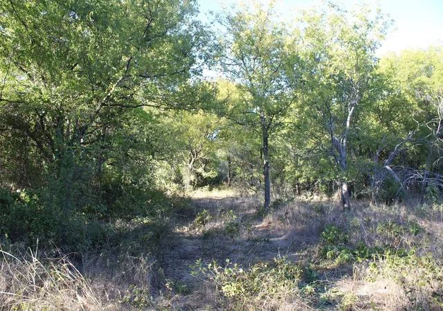 Photo 3 of Land for sale at 000 Eureka School Rd, Nocona, TX 76255 | MLS# 21341545 | Listing updated on 2026-08-22