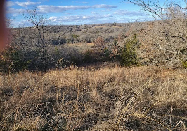 Photo 3 of Land for sale at 000 Eureka School Rd, Nocona, TX 76255 | MLS# 21341545 | Listing updated on 2026-08-22