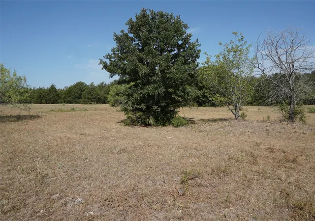 Photo 3 of Land for sale at Tract 2 Ne County Road 1030, Rice, TX 75155 | MLS# 21364395 | Listing updated on 2026-08-22