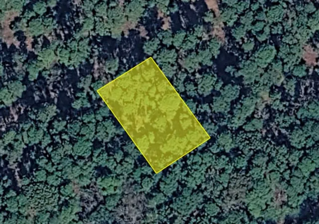 Photo 3 of Land for sale at 0 Brazos St, Scroggins, TX 75480 | MLS# 21366716 | Listing updated on 2026-09-16