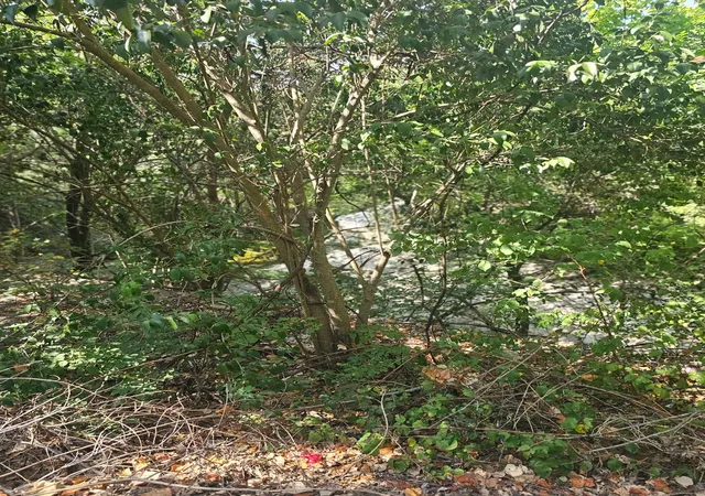 Photo 2 of Land for sale at 200 N Manus Dr, Dallas, TX 75224 | MLS# 21340893 | Listing updated on 2026-09-02