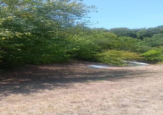 Photo 3 of Land for sale at 200 N Manus Dr, Dallas, TX 75224 | MLS# 21340893 | Listing updated on 2026-09-02