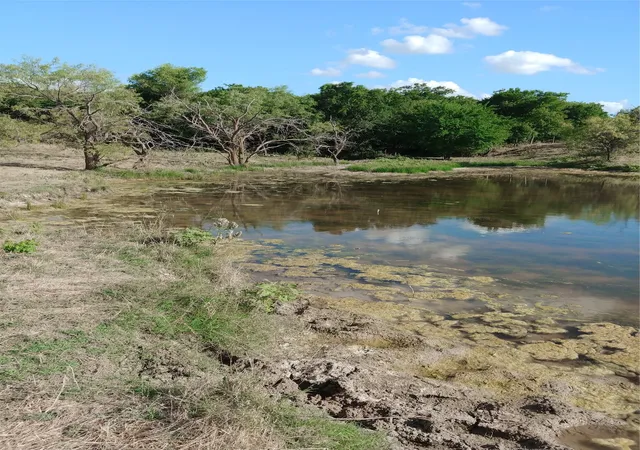 Photo 1 of Land for sale at Private Road 451 Private Road 451, Grandview, TX 76050 | MLS# 21366562 | Listing updated on 2026-08-28