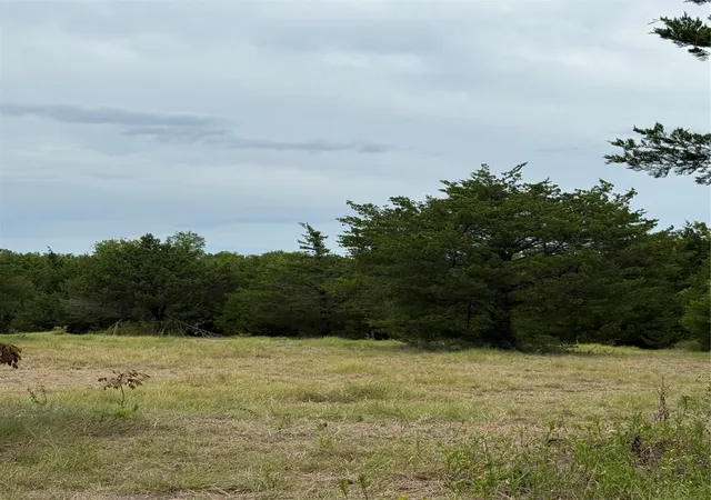 Photo 1 of Land for sale at Tbd 1 County Road 3040, Bonham, TX 75418 | MLS# 21364113 | Listing updated on 2026-08-22