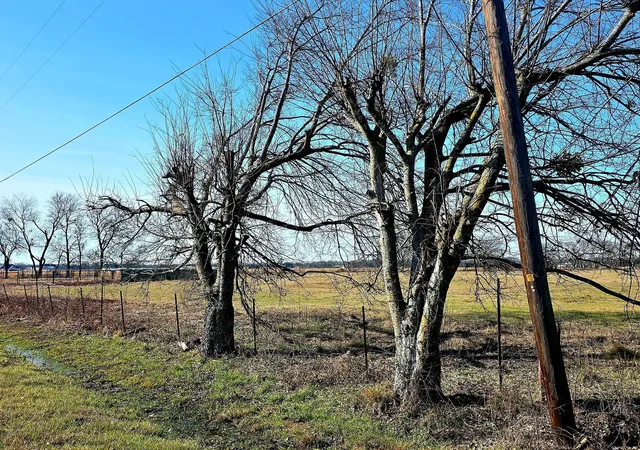Photo 3 of Land for sale at 19770 Fm 47, Wills Point, TX 75169 | MLS# 21367128 | Listing updated on 2026-08-24