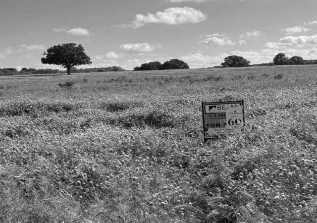 Photo 3 of Land for sale at Lot 60 Buffalo Ln, Chico, TX 76431 | MLS# 21367166 | Listing updated on 2026-08-23