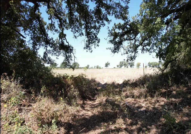 Photo 3 of House for sale at Tbd Co Rd 366, Gorman, TX 76454 | MLS# 21310453 | Listing updated on 2026-08-26