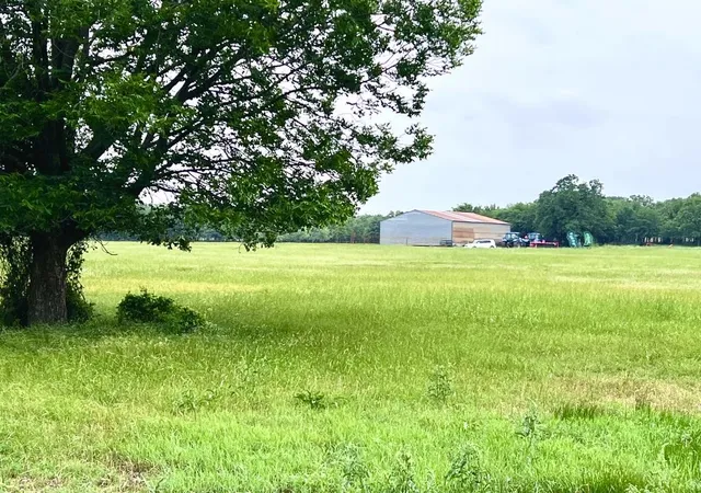 Photo 2 of Land for sale at 1179 County Road 1990, Chico, TX 76431 | MLS# 21366824 | Listing updated on 2026-08-24