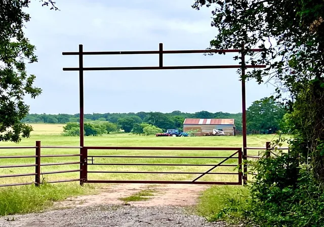 Photo 3 of Land for sale at 1179 County Road 1990, Chico, TX 76431 | MLS# 21366824 | Listing updated on 2026-08-24