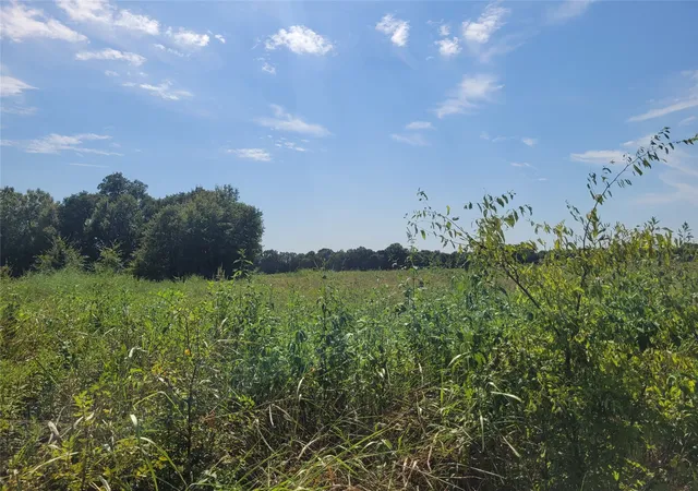 Photo 1 of Land for sale at Tbd County Road 4135, Clarksville, TX 84526 | MLS# 21367468 | Listing updated on 2026-08-24