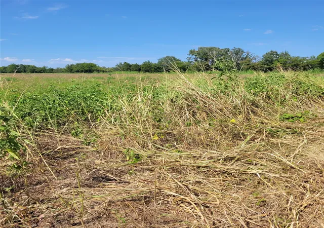 Photo 3 of Land for sale at Tbd County Road 4135, Clarksville, TX 84526 | MLS# 21367468 | Listing updated on 2026-08-24