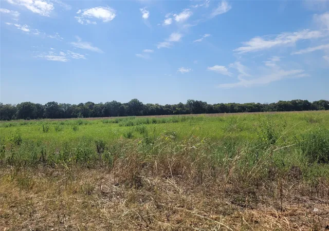 Photo 4 of Land for sale at Tbd County Road 4135, Clarksville, TX 84526 | MLS# 21367468 | Listing updated on 2026-08-24