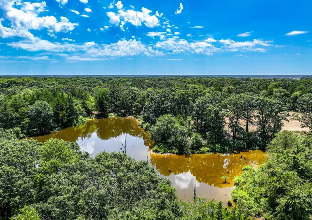 Photo 4 of Land for sale at 000 County Road 2615, Ivanhoe, TX 75447 | MLS# 21367603 | Listing updated on 2026-08-24