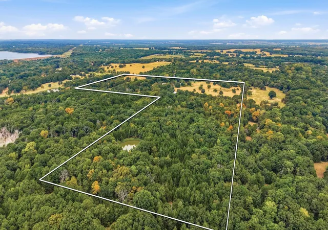 Photo 3 of Land for sale at 2449 County Road 1215, Savoy, TX 75479 | MLS# 21366982 | Listing updated on 2026-08-24