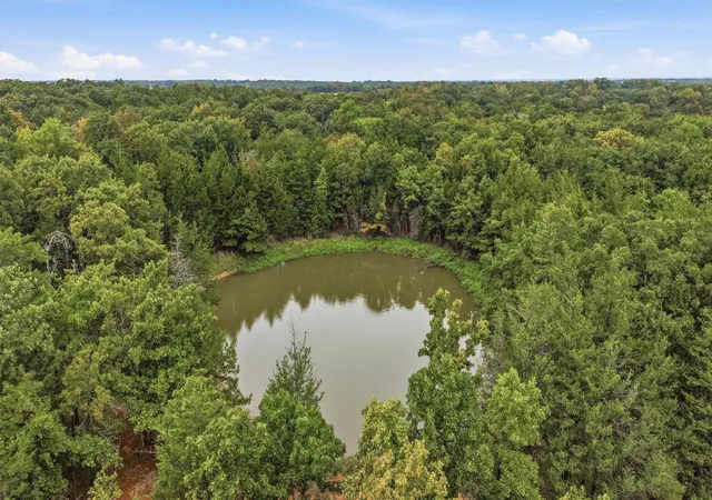 Photo 3 of Land for sale at 2449 County Road 1215, Savoy, TX 75479 | MLS# 21366982 | Listing updated on 2026-08-24
