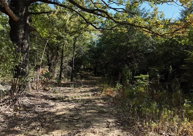 Photo 15 of Land for sale at 001701 Cr 2770, Honey Grove, TX 75446 | MLS# 21367949 | Listing updated on 2026-08-24