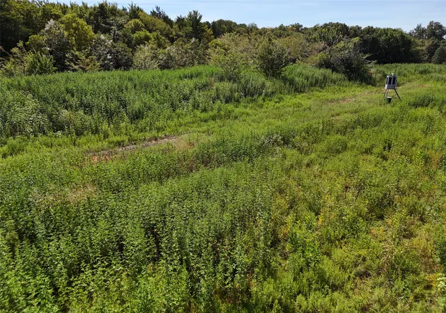 Photo 2 of Land for sale at 001701 Cr 2770, Honey Grove, TX 75446 | MLS# 21367949 | Listing updated on 2026-08-24