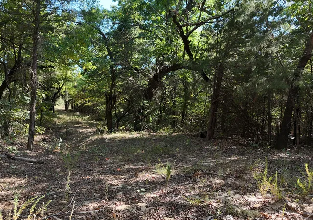 Photo 4 of Land for sale at 001701 Cr 2770, Honey Grove, TX 75446 | MLS# 21367949 | Listing updated on 2026-08-24