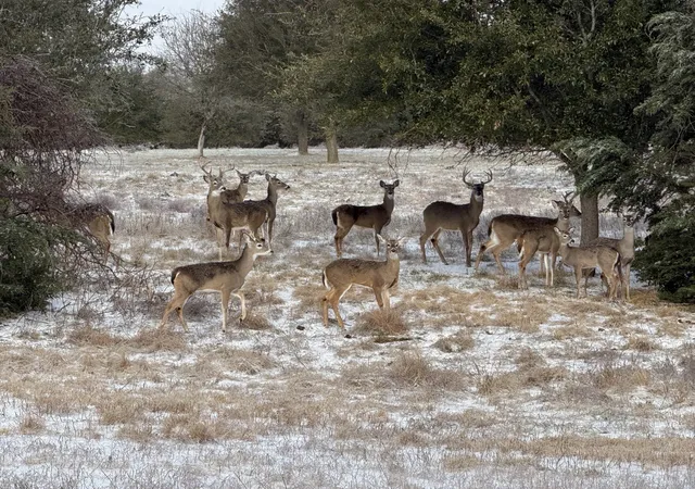 Photo 1 of Land for sale at 5899 Cedar Ridge Dr, Ovilla, TX 76065 | MLS# 21306010 | Listing updated on 2026-08-25