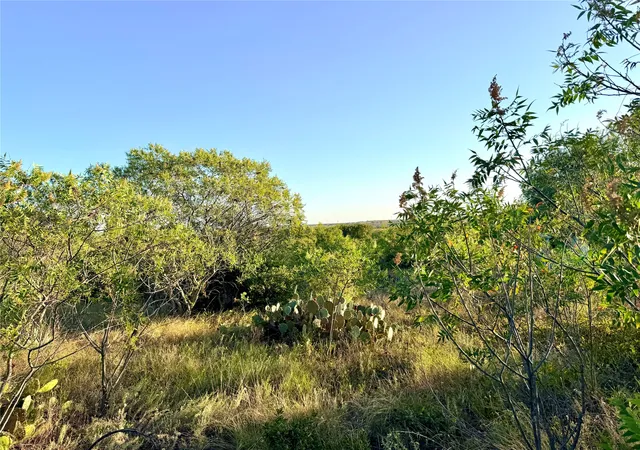 Photo 3 of Land for sale at 37 Pr 224, Goldthwaite, TX 76844 | MLS# 21368103 | Listing updated on 2026-08-25