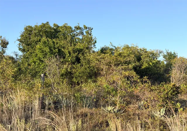 Photo 4 of Land for sale at 37 Pr 224, Goldthwaite, TX 76844 | MLS# 21368103 | Listing updated on 2026-08-25