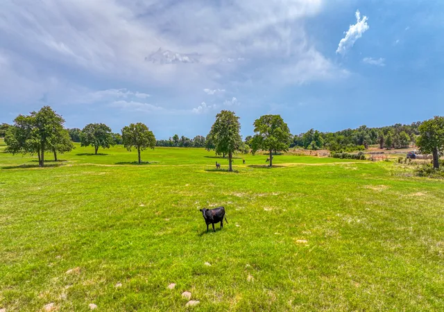 Photo 1 of Land for sale at Tract 3 Three Quarter Loop, Poolville, TX 76487 | MLS# 21365474 | Listing updated on 2026-08-25