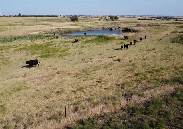 Photo 2 of Land for sale at 1630 Fm 1198, Muenster, TX 76252 | MLS# 21367943 | Listing updated on 2026-08-25