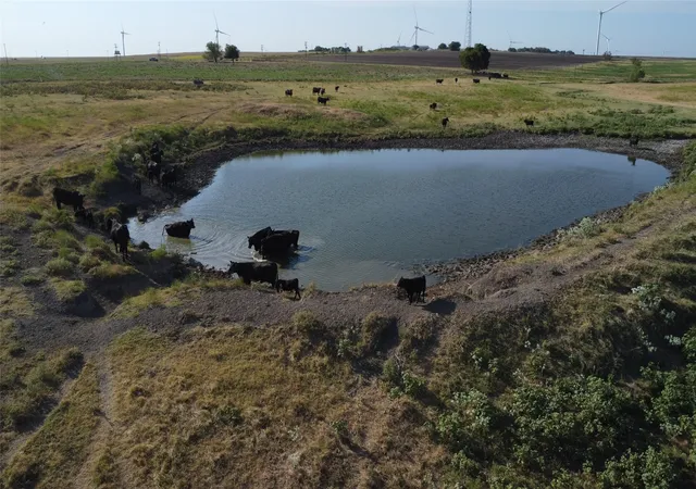 Photo 3 of Land for sale at 1630 Fm 1198, Muenster, TX 76252 | MLS# 21367943 | Listing updated on 2026-08-25