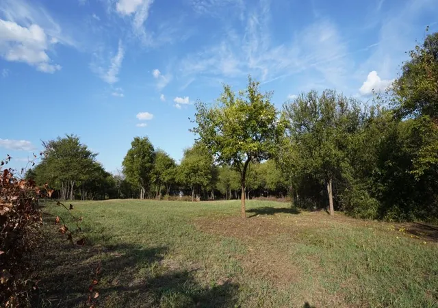 Photo 3 of Land for sale at 14215 County Road 606 Lot 2, Farmersville, TX 75442 | MLS# 21368267 | Listing updated on 2026-08-25