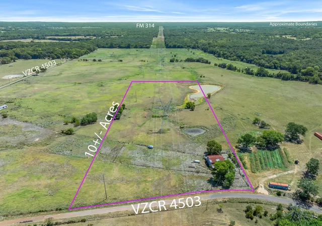 Land for sale at 10.02 Acres Vz County Road 4503, Ben Wheeler, TX 75754 | MLS# 21368237
