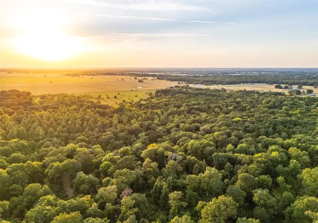 Photo 1 of Land for sale at Tbd Farm To Market 197, Arthur City, TX 75411 | MLS# 21368472 | Listing updated on 2026-08-25