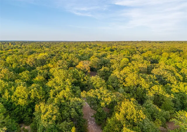 Photo 2 of Land for sale at Tbd Farm To Market 197, Arthur City, TX 75411 | MLS# 21368472 | Listing updated on 2026-08-25