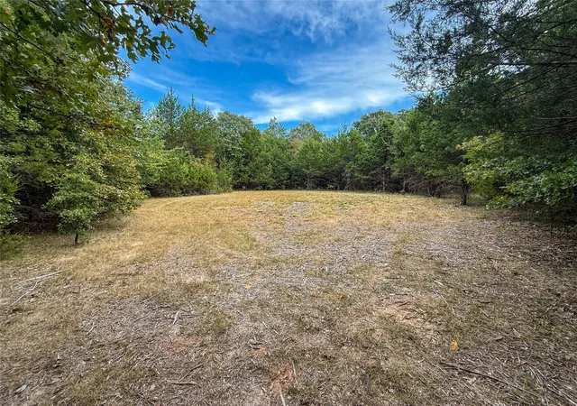 Photo 3 of Land for sale at Tbd Farm To Market 197, Arthur City, TX 75411 | MLS# 21368472 | Listing updated on 2026-08-25
