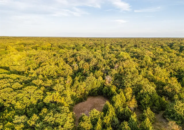 Photo 3 of Land for sale at Tbd Farm To Market 197, Arthur City, TX 75411 | MLS# 21368472 | Listing updated on 2026-08-25