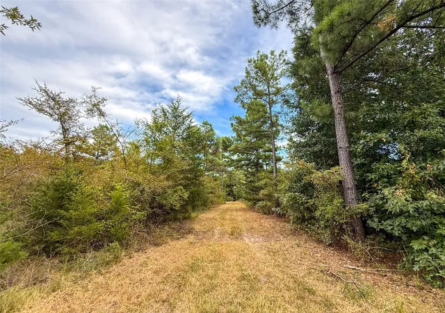 Photo 4 of Land for sale at Tbd Farm To Market 197, Arthur City, TX 75411 | MLS# 21368472 | Listing updated on 2026-08-25