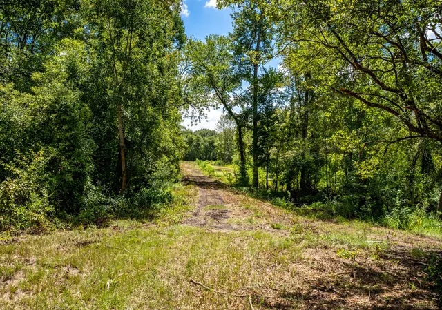Photo 3 of Land for sale at 000 Private Road 1425, Centerville, TX 75833 | MLS# 21368489 | Listing updated on 2026-08-25