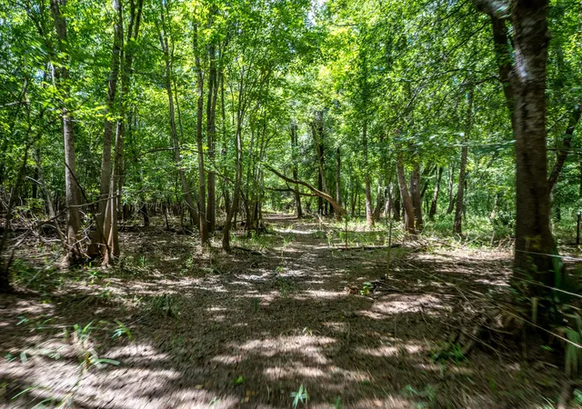 Photo 4 of Land for sale at 000 Private Road 1425, Centerville, TX 75833 | MLS# 21368489 | Listing updated on 2026-08-25