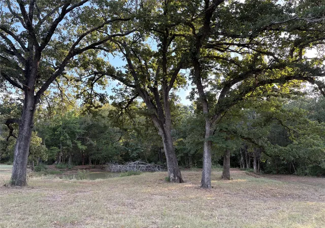 Photo 4 of Land for sale at 134 Private Road 5762, Groesbeck, TX 76642 | MLS# 21368471 | Listing updated on 2026-08-26