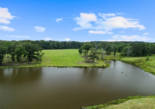 Photo 39 of Single family home for sale at 9799 Fm 49, Big Sandy, TX 75755 | MLS# 21368072 | Listing updated on 2026-08-31