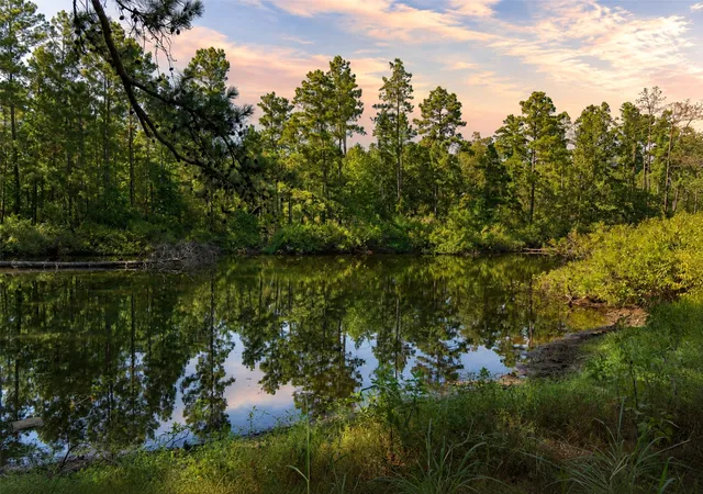 Photo 1 of Land for sale at 00 State Hwy 294, Elkhart, TX 75839 | MLS# 21368752 | Listing updated on 2026-09-02