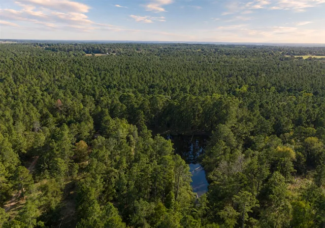 Photo 3 of Land for sale at 00 State Hwy 294, Elkhart, TX 75839 | MLS# 21368752 | Listing updated on 2026-09-02