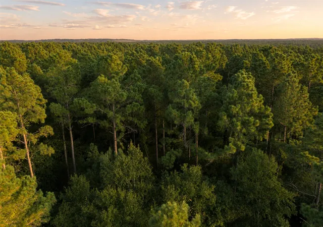 Photo 4 of Land for sale at 00 State Hwy 294, Elkhart, TX 75839 | MLS# 21368752 | Listing updated on 2026-09-02